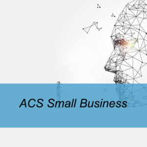 ACS Small Business